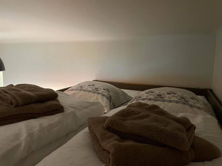 Joli Logement Avec Terrasse La Cigale 6 A 8 Personnes Orbey Εξωτερικό φωτογραφία